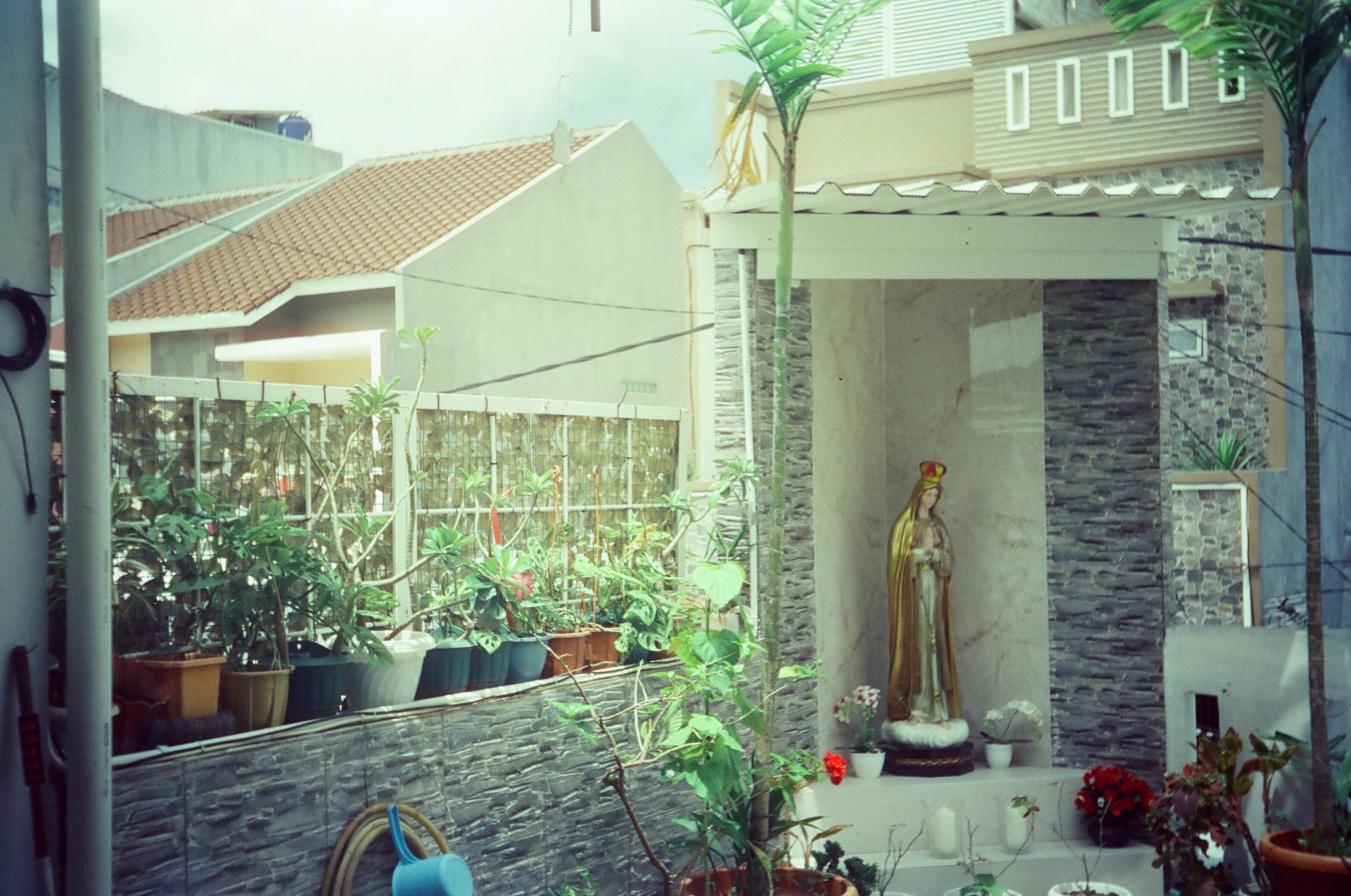 Full screen image 3