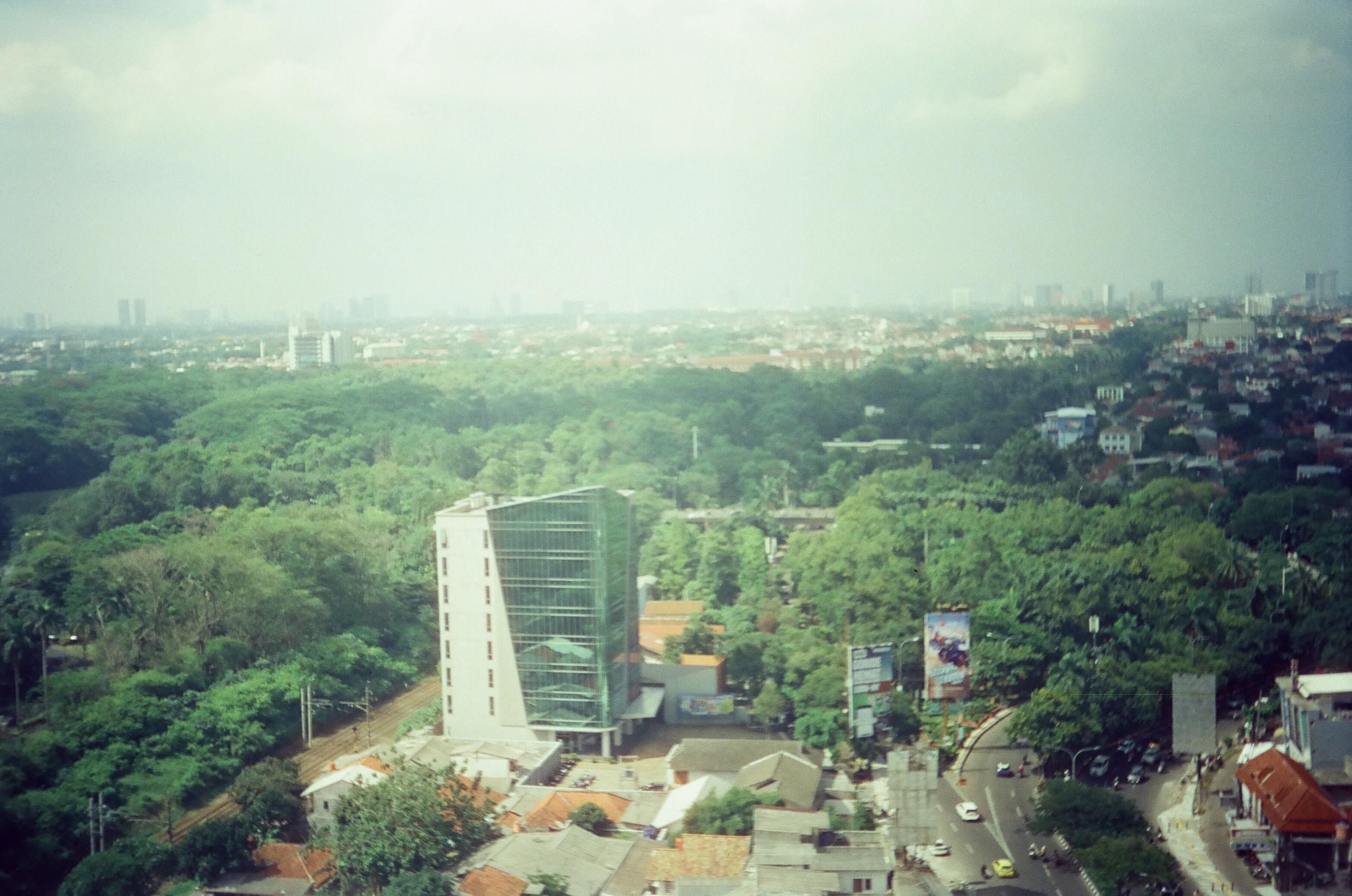 Full screen image 6