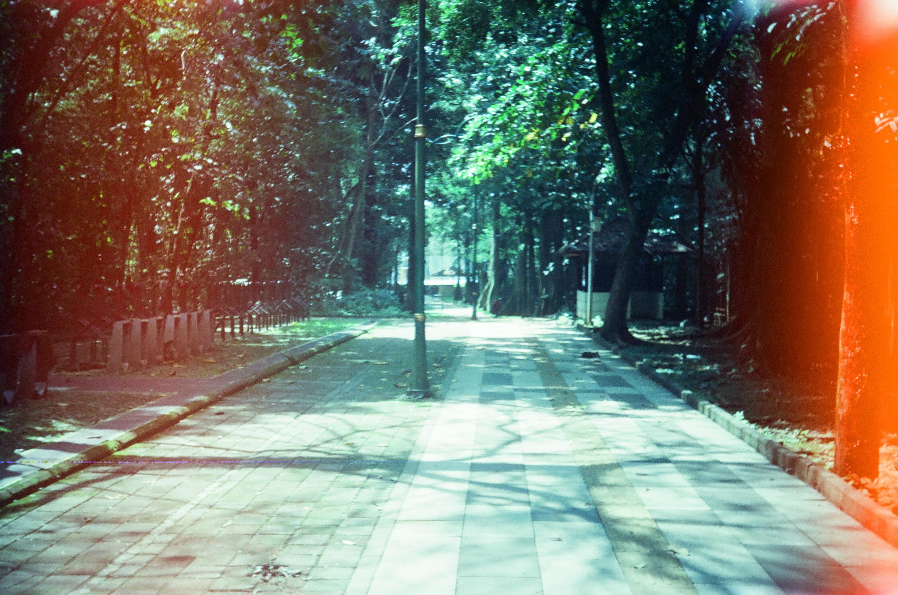 Full screen image 12